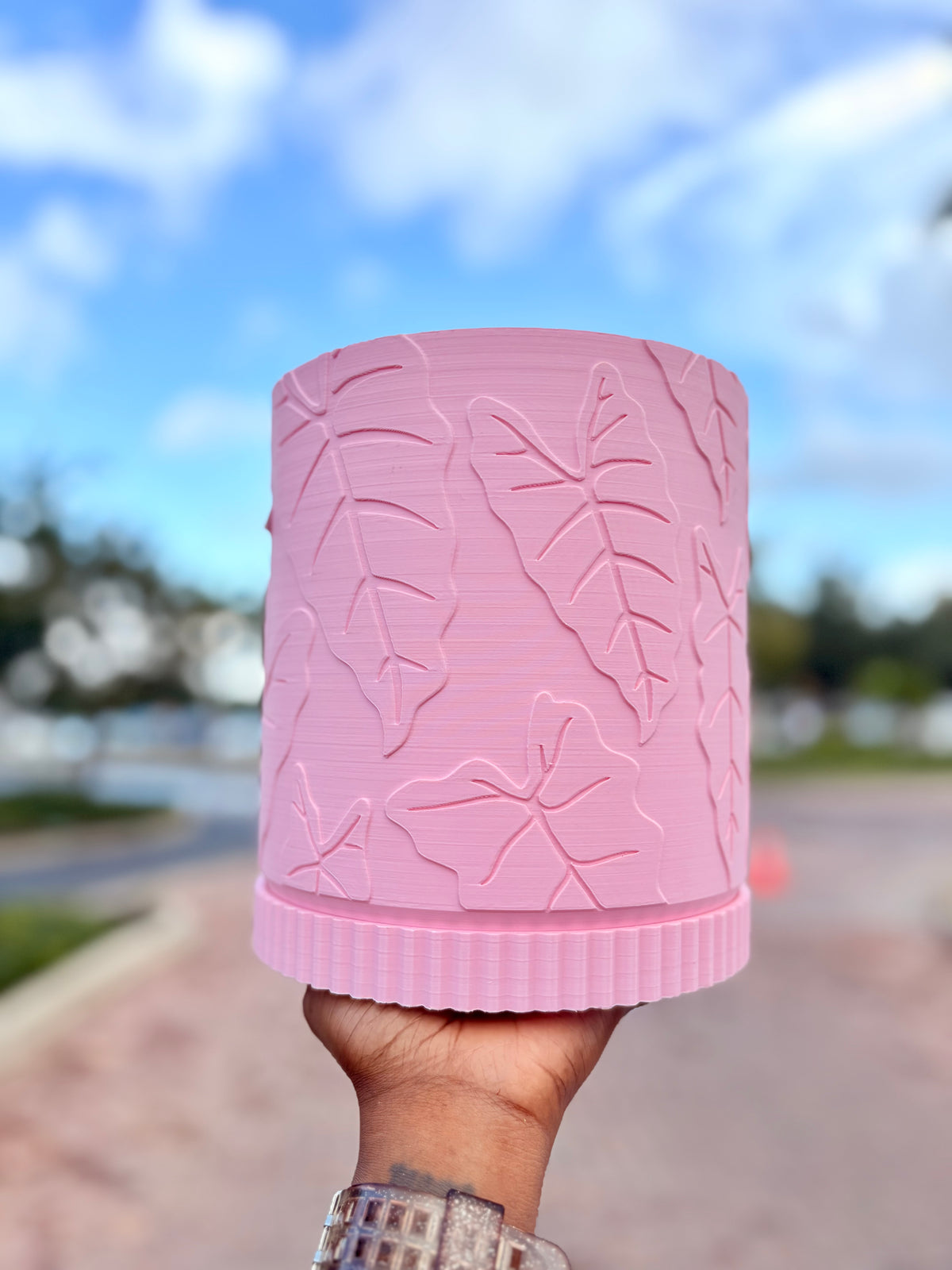 Alocasia Pot