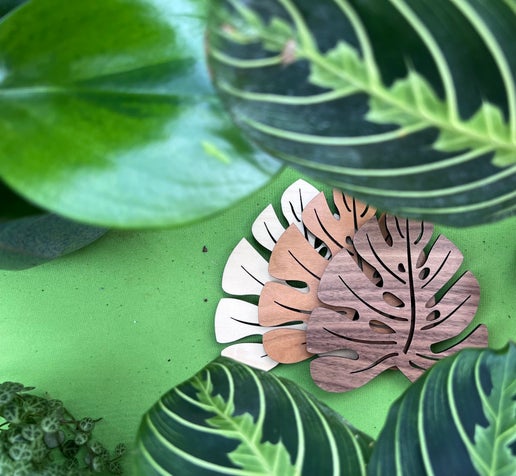 Monstera leaf coaster