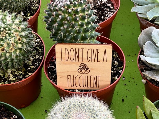 "I don't give a fucculent" magnet