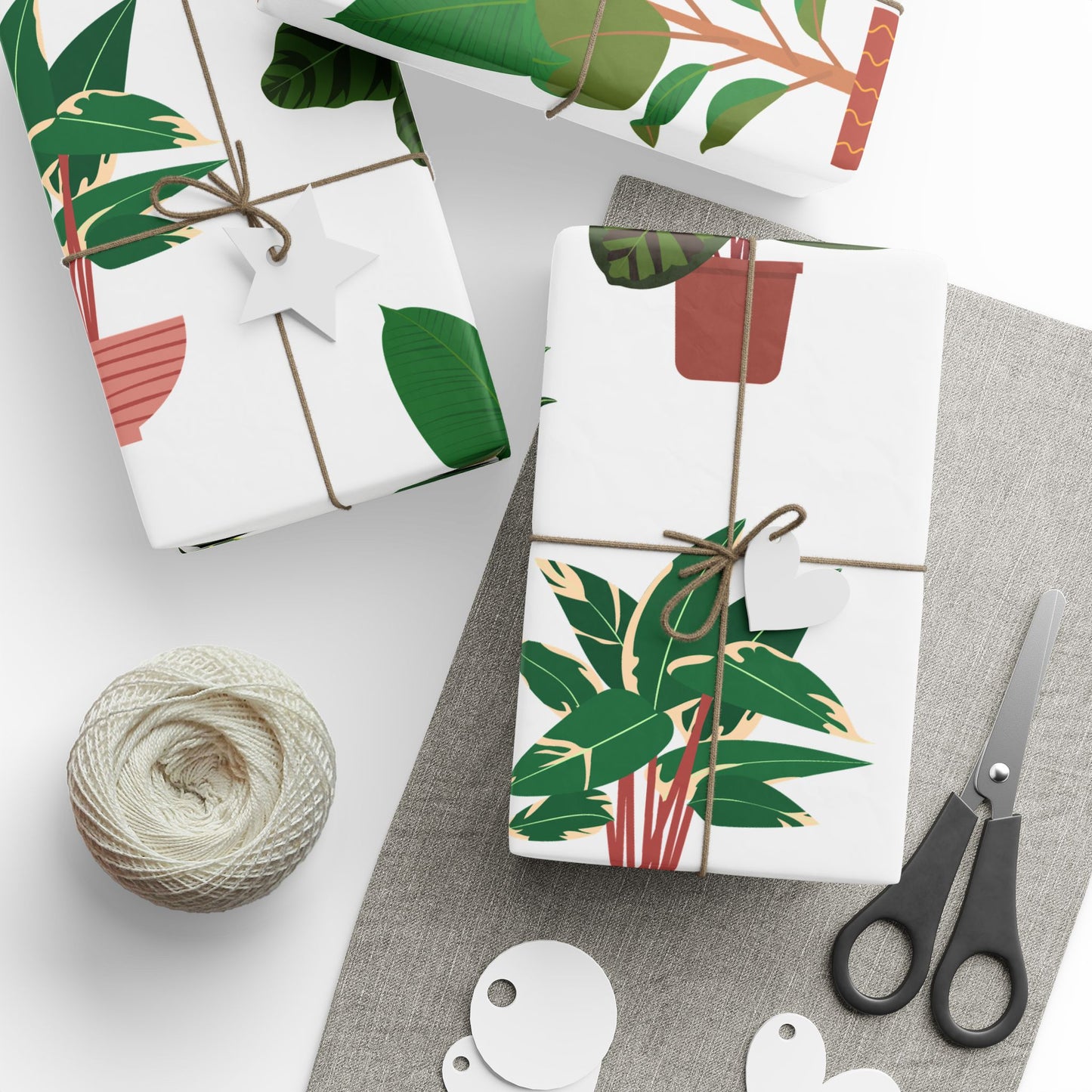 Potted Houseplants Wrapping Paper | Plant Pattern Gift Wrap Roll