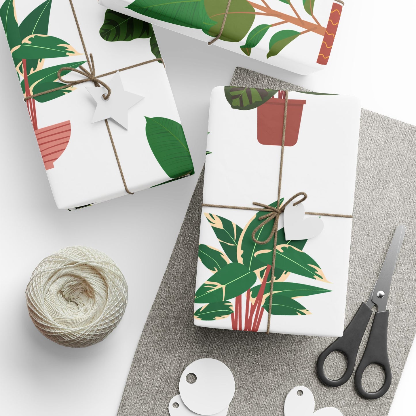 Potted Houseplants Wrapping Paper | Plant Pattern Gift Wrap Roll