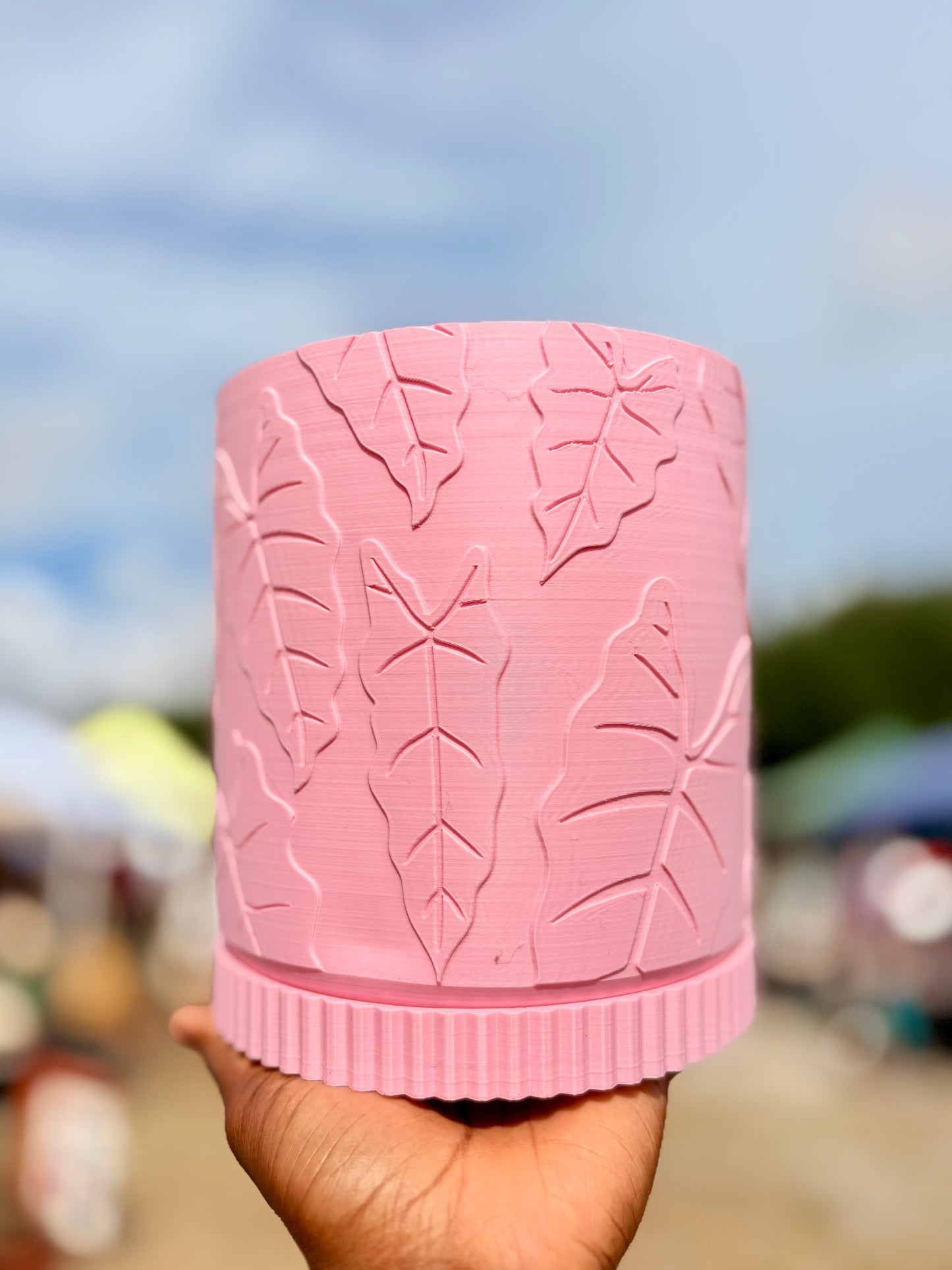 Alocasia Pot