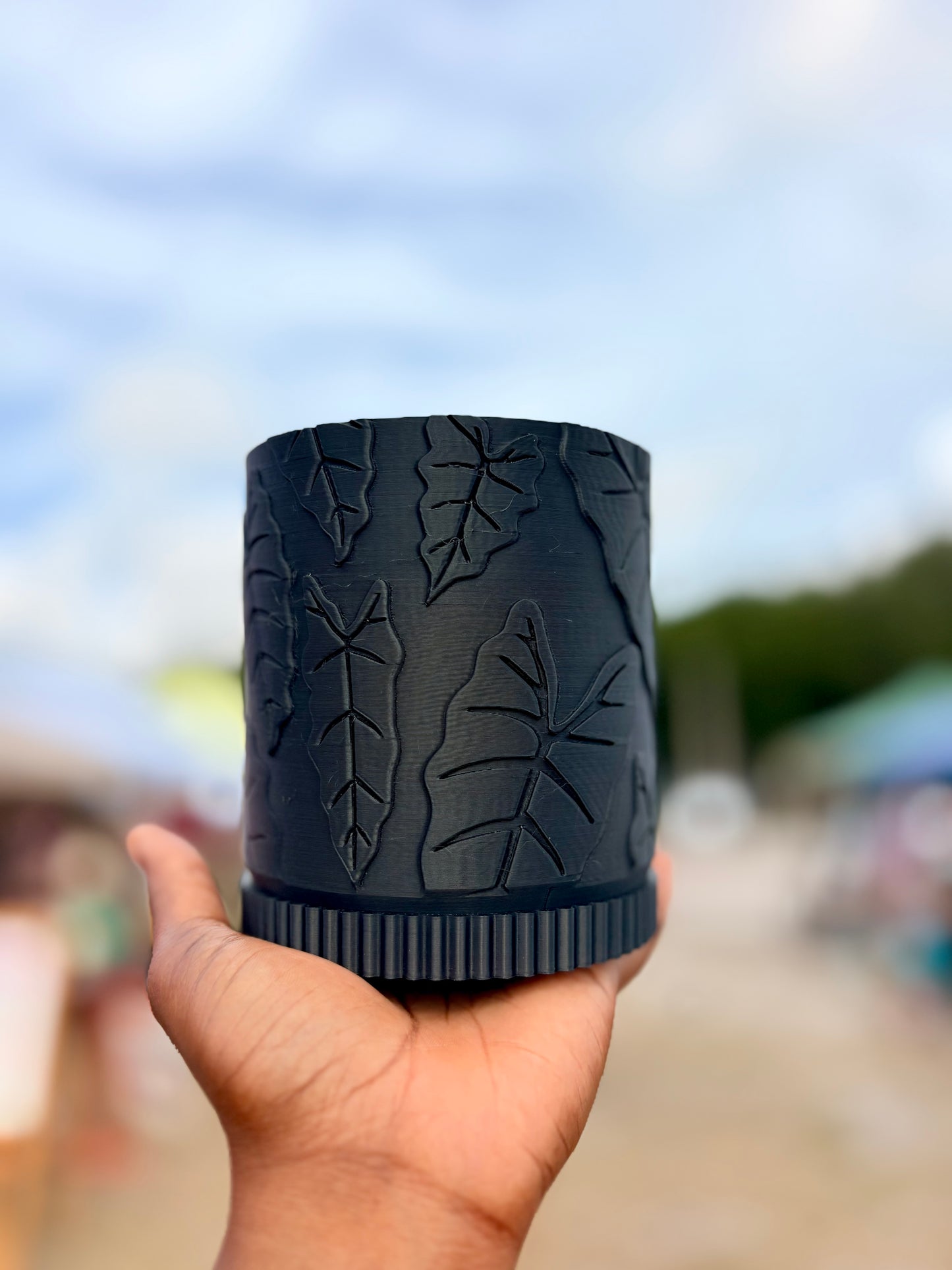 Alocasia Pot