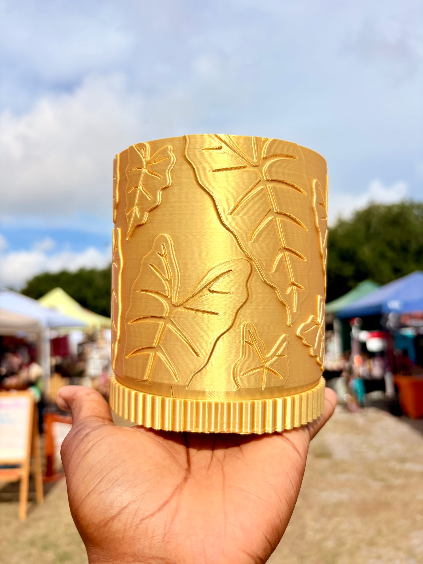 Alocasia Pot