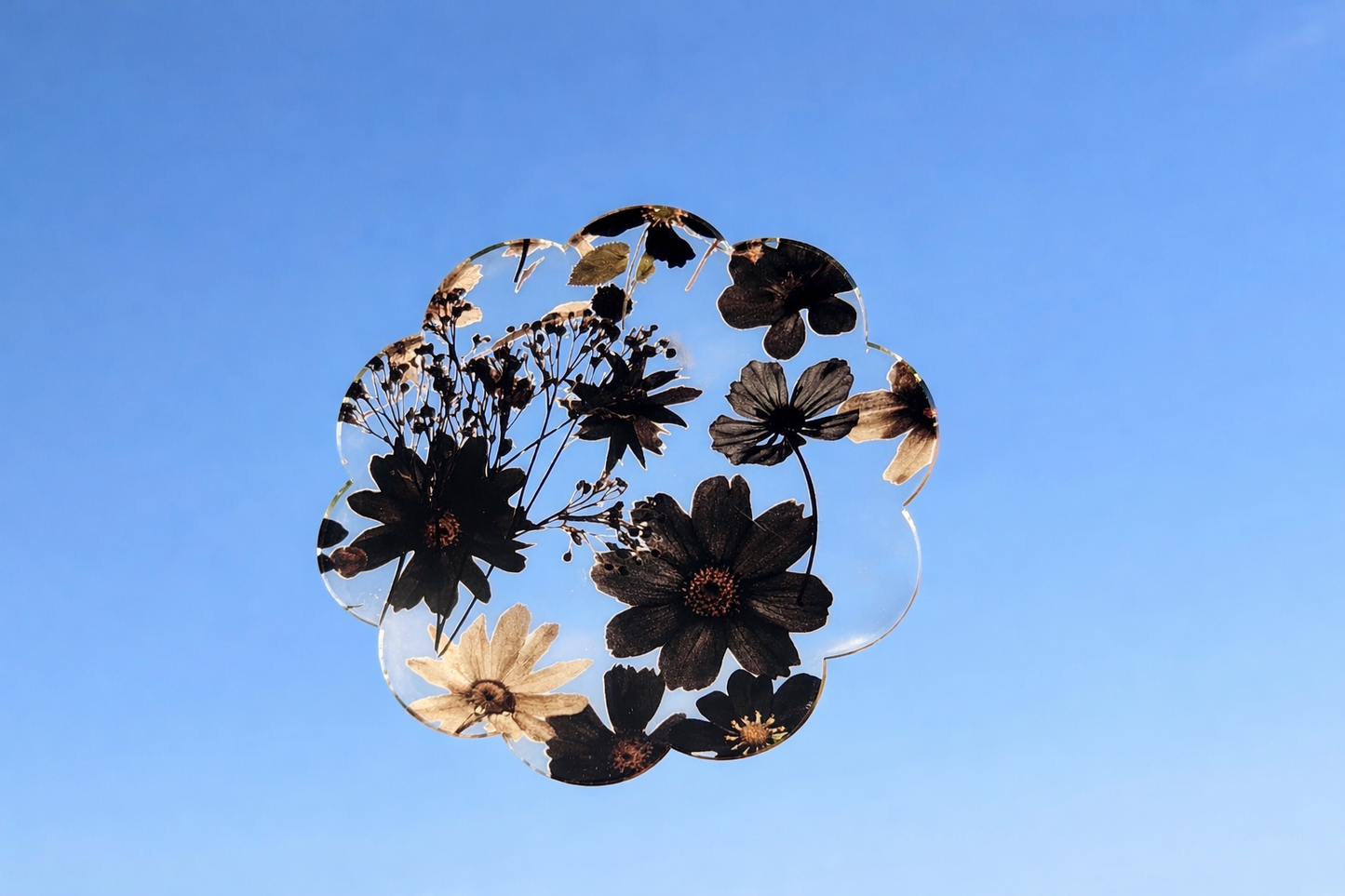 Pressed floral coaster