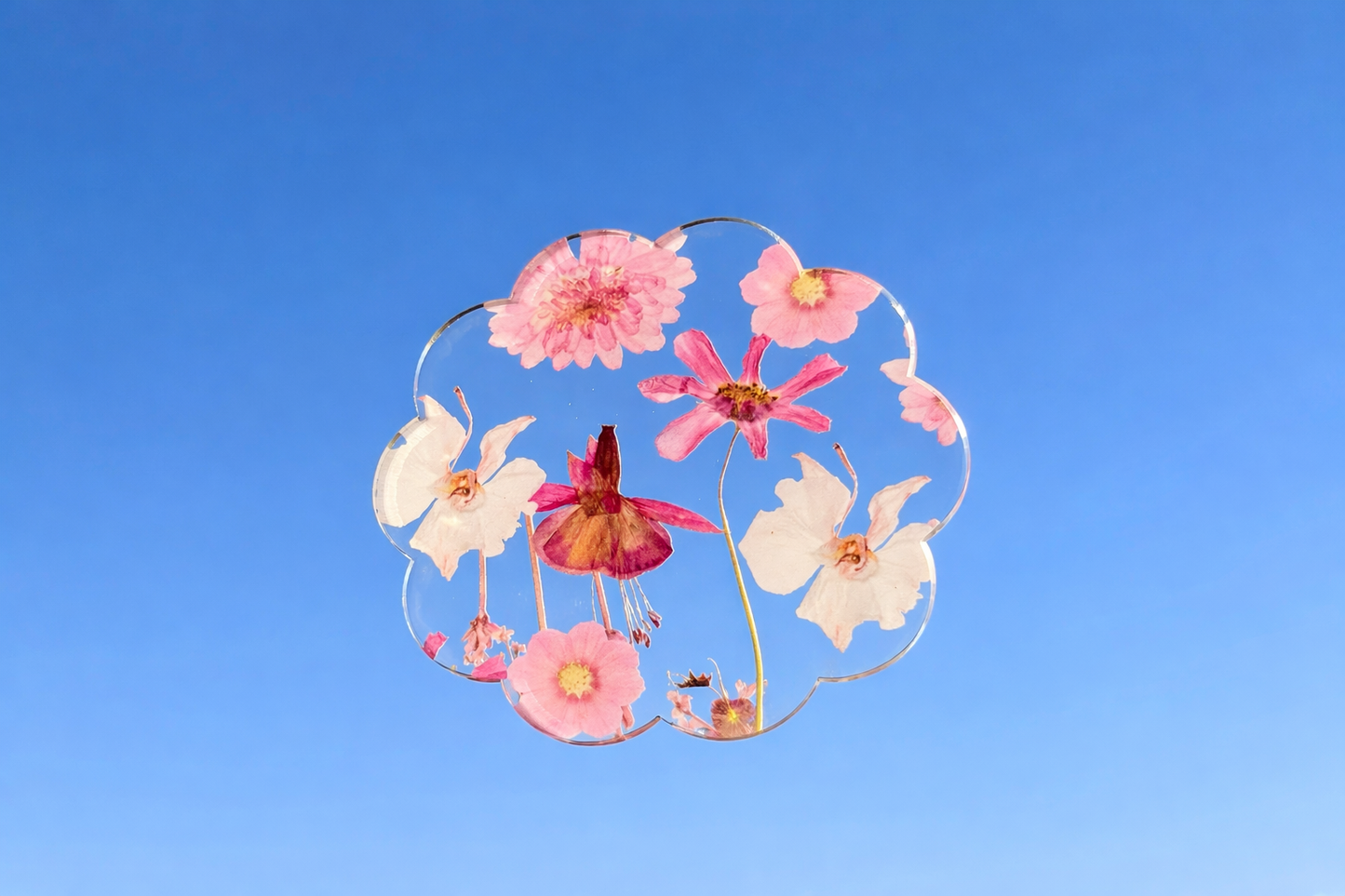 Pressed floral coaster