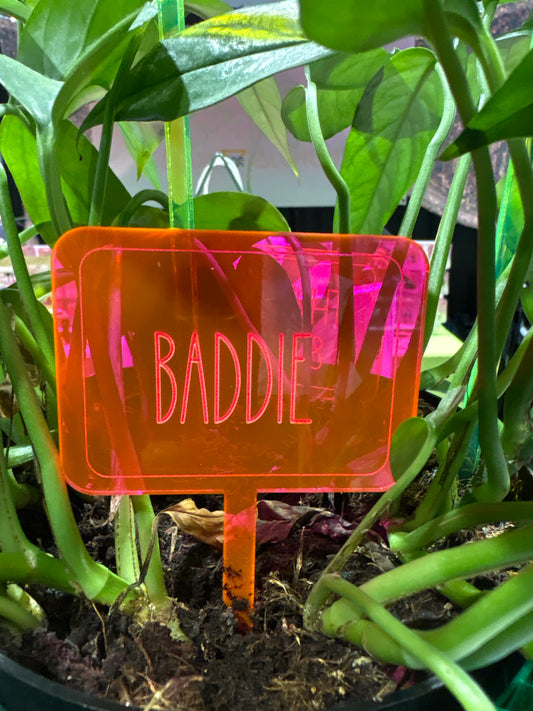 Baddie plant stake