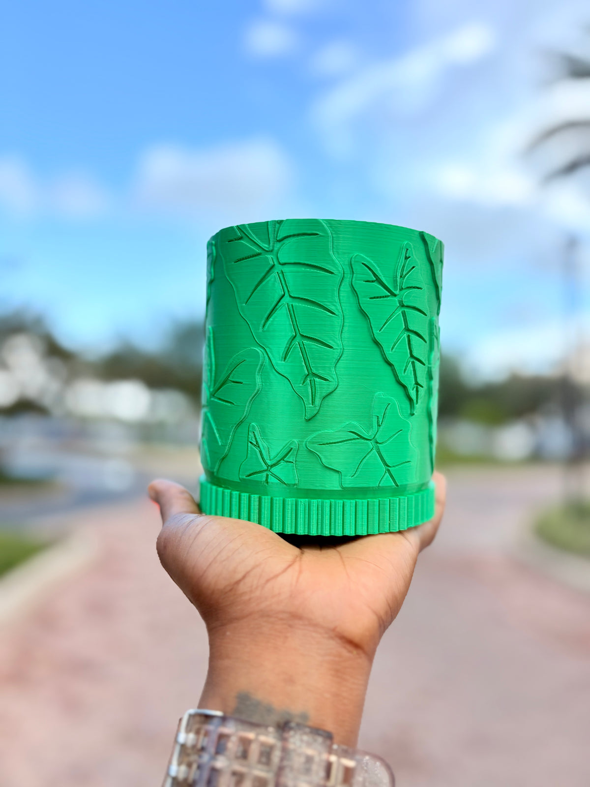Alocasia Pot