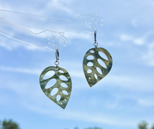 Variegated Monstera Swiss Cheese earrings